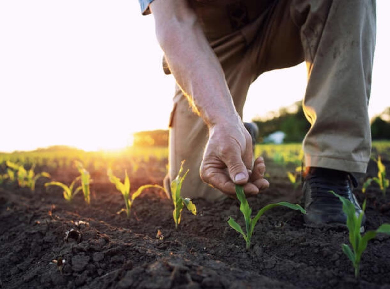 Stratégies innovantes pour financer votre activité agricole